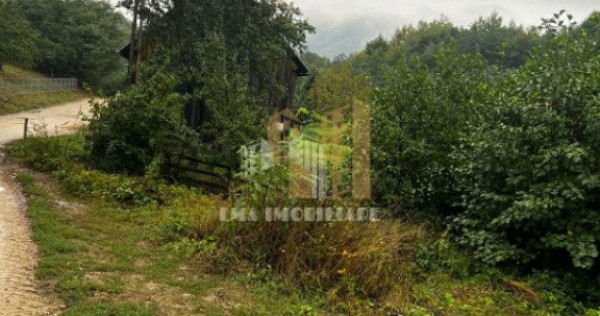 Teren intravilan Sinca Noua