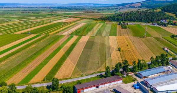 Teren insorit in Teliu, 7000mp, cu front la strada!