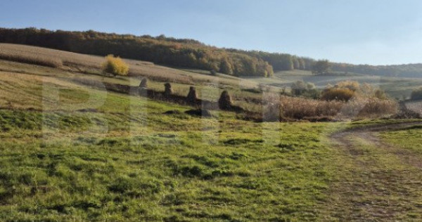 Teren intravilan de vanzare in Bardesti