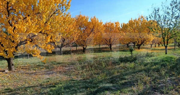 Teren Intravilan 6300 mp Magurele Prahova , Oportunitate !