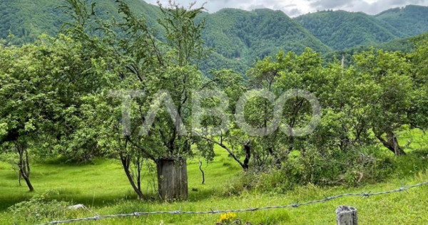 Teren intravilan de vanzare in Martinia de sus