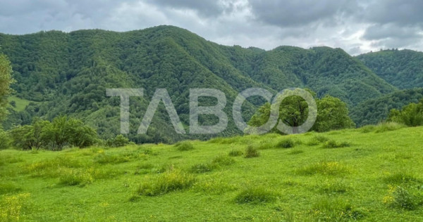 Teren intravilan de vanzare in Martinia de sus