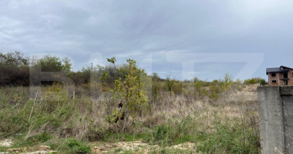 Teren 3400 mp, zona Carcea la E70/str Craiovei