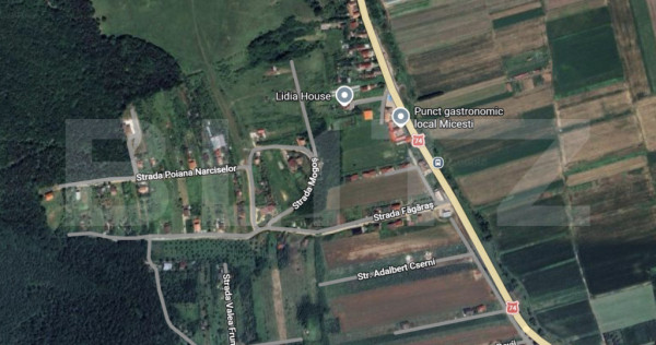 Teren intravilan ,4200mp, Micesti.