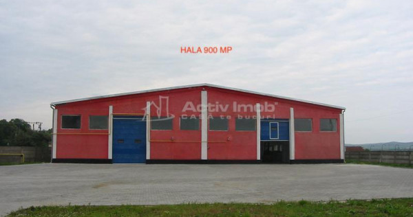 Ansamblu Industrial - Hale - 3027 mp - Teren 12822 mp - Jucu