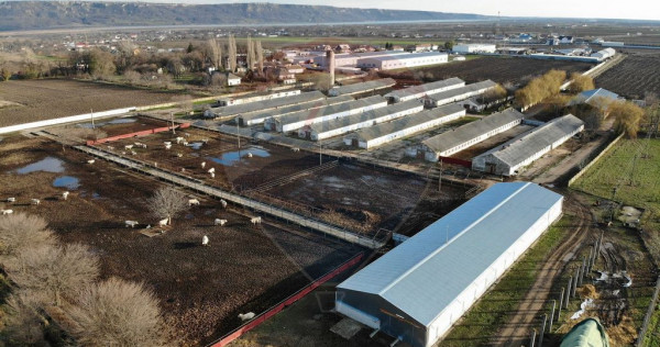 Hale 16 mii mp cu 9 ha teren intravilan