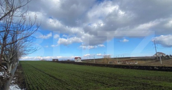 Teren Intravilan de vanzare, 3900 mp, zona Suceava-Cumparatu