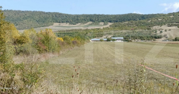 Teren Intravilan de vanzare, 4.900 mp, zona parcului Industr