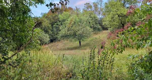 Teren construibil de v&acirc;nzare 990mp &icirc;n Barzava, județul...