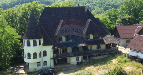 DE VANZARE CASTEL IN MARAMURES