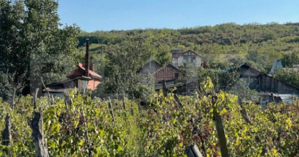 Casa batraneasca, locuibila, Podari, teren 1050 mp