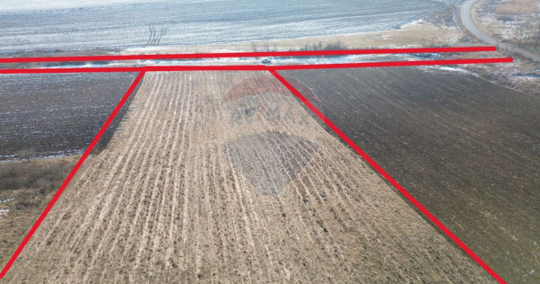 Teren pentru cabana 7.000mp in Hoghilag, Tărâmul Tubero...