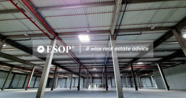 Spatiu Depozitare Aproape Port Constanta, 5.000 - 90.000mp