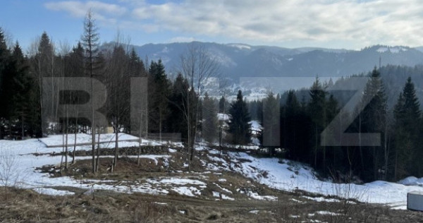 Teren intravilan de vanzare, 15 ari, zona COLIBITA