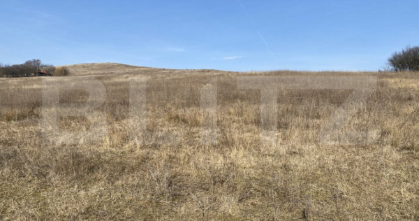 Teren extravilan in suprafata de 140551 mp in loc. Recea