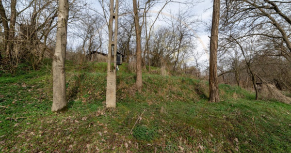 Teren de vânzare – 1221 mp în Budeasa Mică, zonă lini?