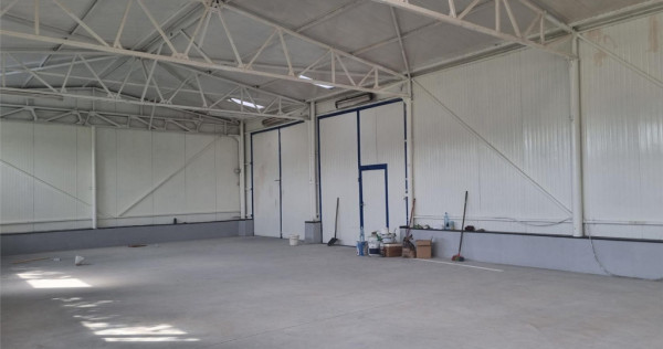 Hala Semicentral 17 kwa