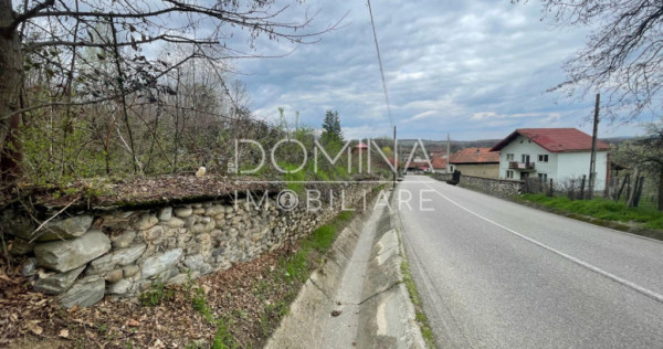 Teren intravilan - Runcu *oportunitate* - zonă turistică