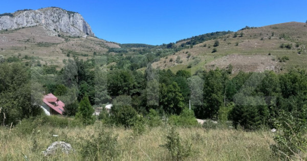 Teren extravilan,6000 mp,Valisoara