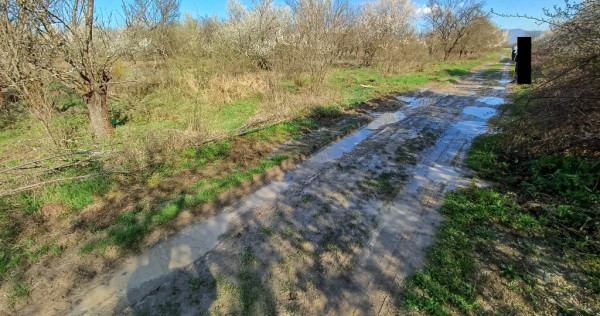 Lapusel, 60ari livada