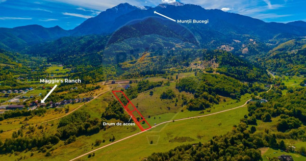 Teren Rasnov -Glajerie, Poiana Velicanului, 1447mp, la st...