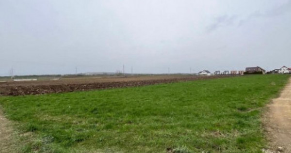 Teren intravilan, 1792 mp, Radauti