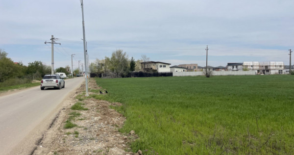 Domnești, Str Foișorului, 11470mp, deschidere 36ml, utilit