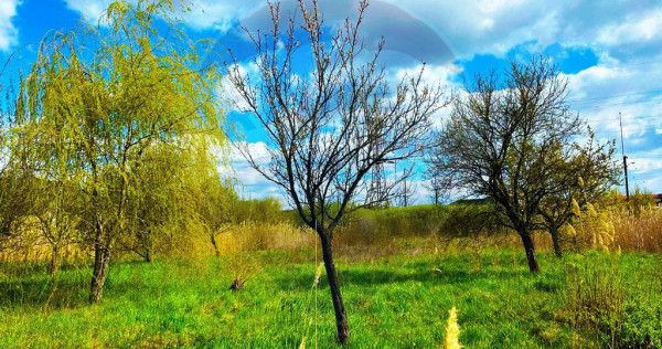 ZONA PREMIUM-TEREN INTRAVILAN