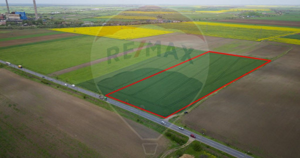 Teren 30,000mp Arad / Soseaua Centura Arad Nord
