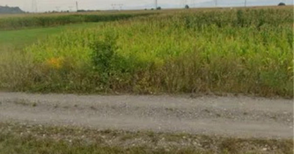 Teren Intravilan Calea Bucuresti 8.752 mp