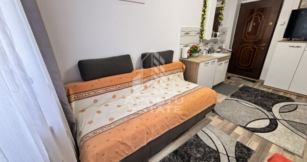 3 camere de camin renovate, mobilate si utilate, zona Dam...