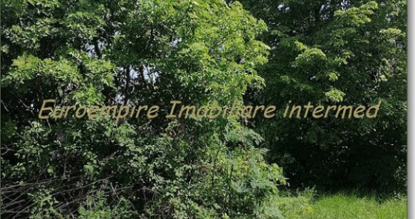 Teren intravilan construibil Lazu Centru