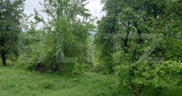 Teren intravilan Cucuteni