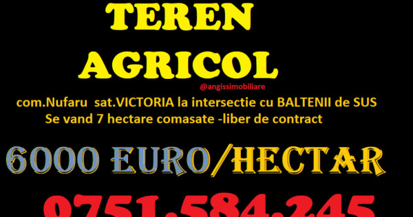 Teren AGRICOL categoria A- com Nufaru sat Victoria