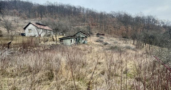 Teren intravilan, loc de casa, panorama