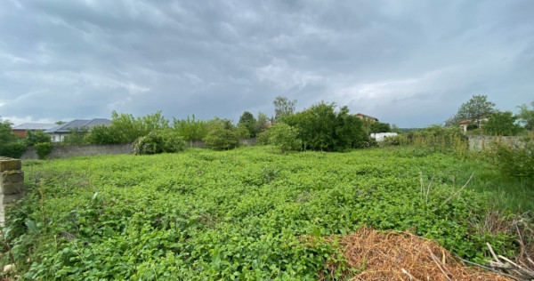 Islaz - Branesti - teren 1374mp - canalizare - gaze - curent - asfalt