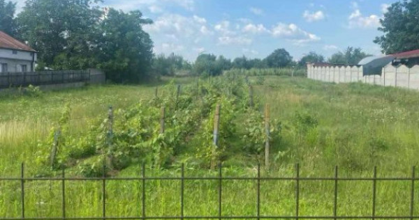Teren intravilan Cârcea 2900mp
