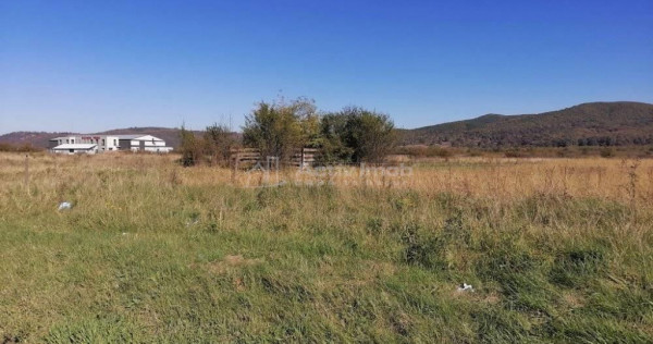 Teren intravilan 3000 mp constructii industriale