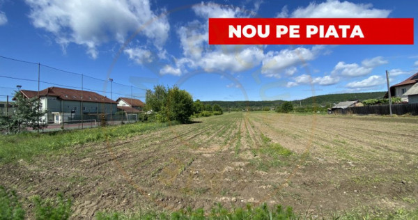 Teren intravilan 7.295 mp – Argeselu, Maracineni, AG