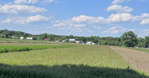 Teren extravilan, 4000mp, Fratautii vechi