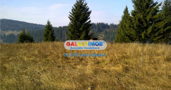 Teren pentru Complex Turistic - 12 730 mp - Vatra Dornei
