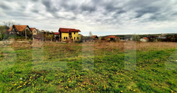 Teren intravilan 365mp,cu Puz aprobat prin HCL,in Borhanci