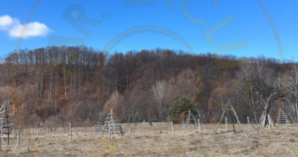 Teren Cicanesti Arges, la 10 KM de Transfagarasan - Comision