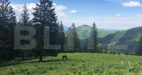 De vanzare, teren intravilan 5.500mp, Predeal