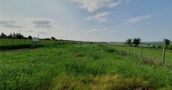 Casa cu teren - ST 329 mp - TEREN 23 ari - Moara