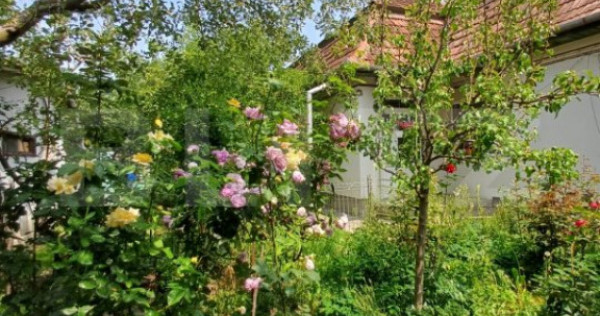 Casa individuala, 145 mp, 802 mp teren, zona centrala, Turda