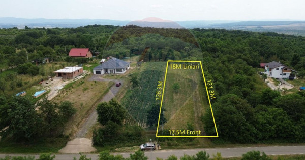 Teren pretabil constructii/10 min de Baia Mare