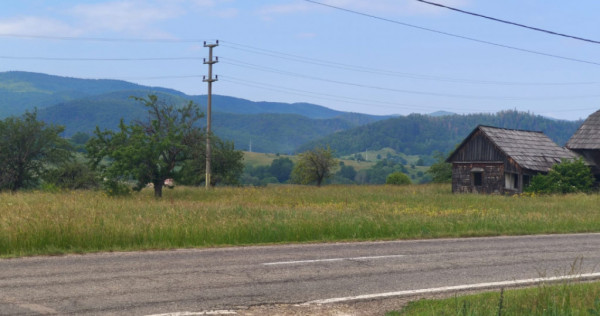 Casa+teren 5000mp, 70ml la DN 2E, zona Cacica, Radauti