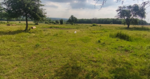 Casa+teren 5000mp, 70ml la DN 2E, zona Cacica, Radauti