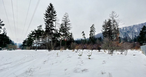 Teren intravilan - Sacele - Brasov